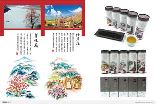 成都品牌包装设计全解析 从VI到食品包装的专业指南